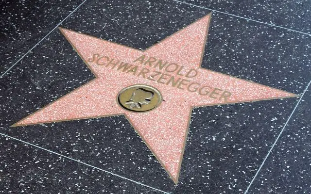 Beer Puns Arnold Schwarzenegger Hollywood Actor and Former Governor of Calisfornia